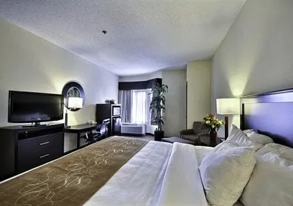 Reliable landscape installation with custom design across New Concord, OH - H & M Quality Tree Service LLC