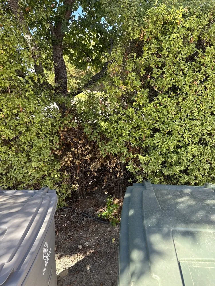 Top-rated landscaping services for residential properties across Pittsburg, CA - H & N Landscaping & Anthony Concrete Pump