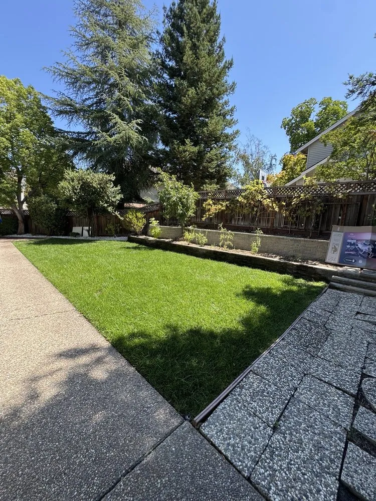 Local yard cleanup service in Pittsburg, CA by H & N Landscaping & Anthony Concrete Pump