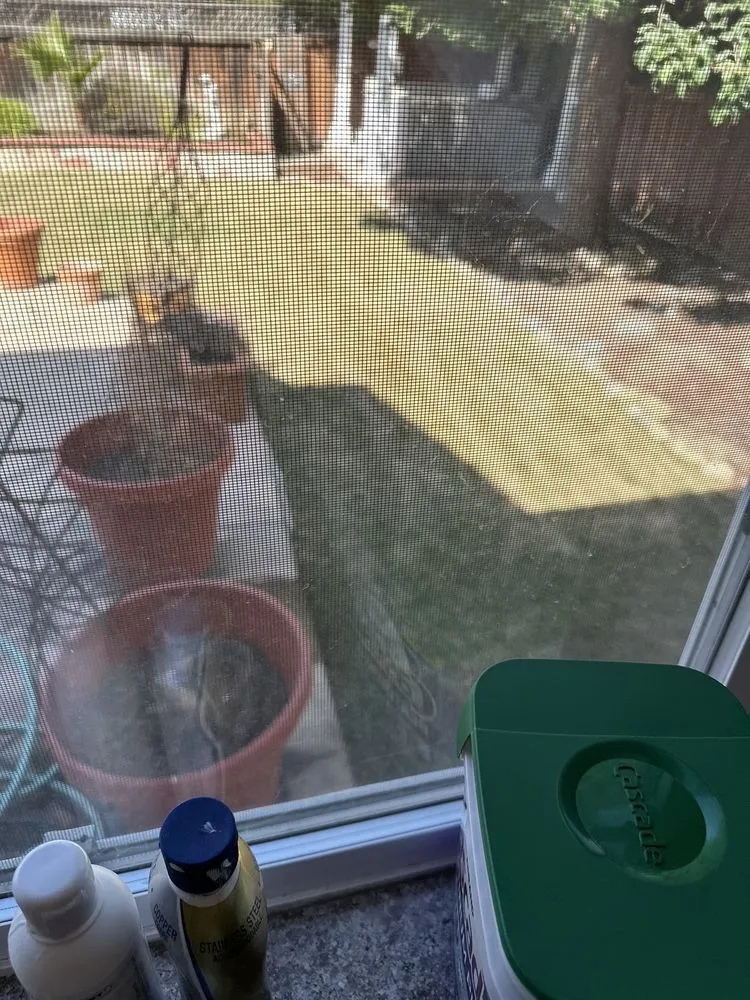 Trusted outdoor landscaping in Pittsburg, CA by H & N Landscaping & Anthony Concrete Pump