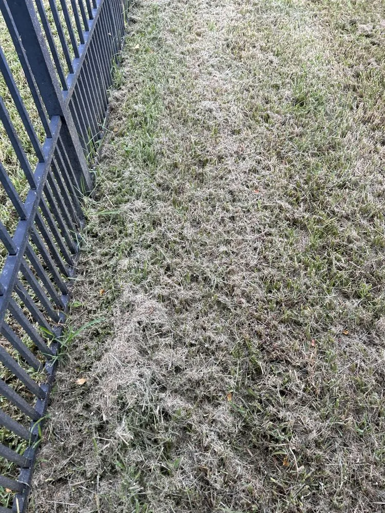 Local landscape installation in Ruskin, FL by H & N lawn service