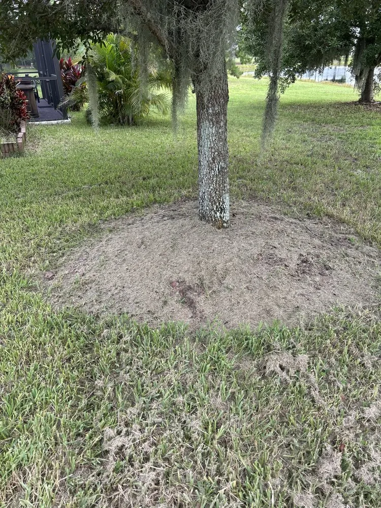 Reliable lawn care service experts serving Ruskin, FL - H & N lawn service