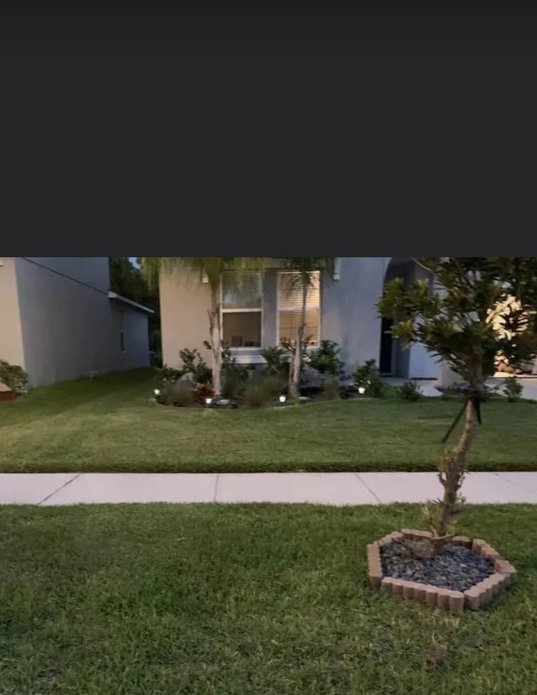 Trusted yard maintenance experts serving Ruskin, FL - H & N lawn service