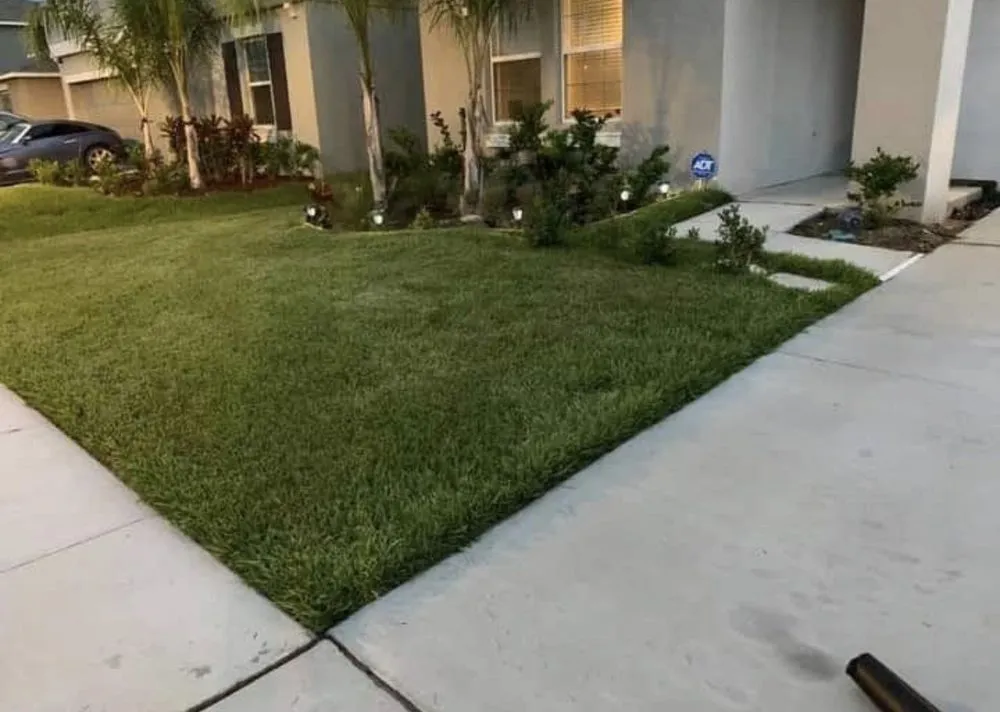 Trusted yard maintenance in Ruskin, FL by H & N lawn service