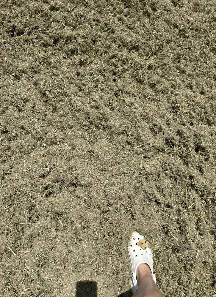 Affordable residential landscaping in Ruskin, FL by H & N lawn service