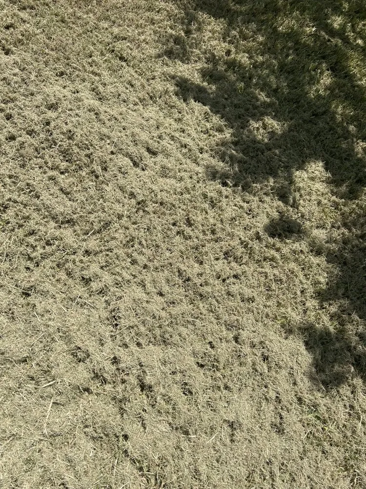 Top-rated landscape installation in Ruskin, FL - H & N lawn service