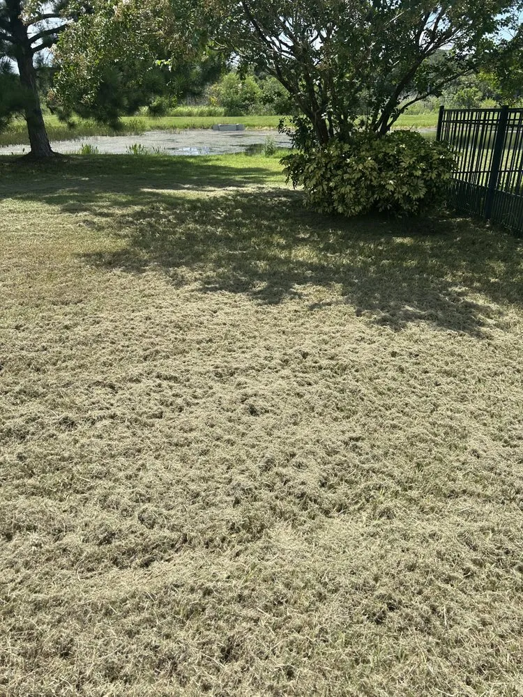 Local lawn care service experts serving Ruskin, FL - H & N lawn service