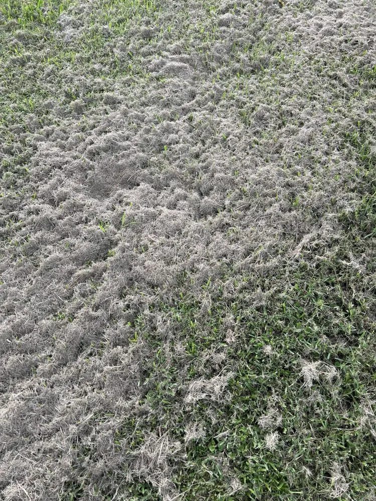 Local lawn mowing service for homes in Ruskin, FL by H & N lawn service