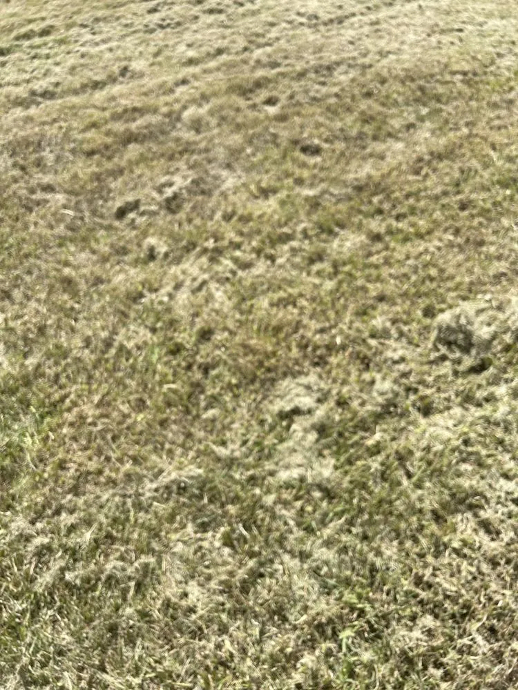 Reliable residential landscaping in Ruskin, FL - H & N lawn service