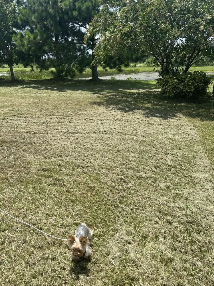 Affordable outdoor landscaping in Ruskin, FL by H & N lawn service