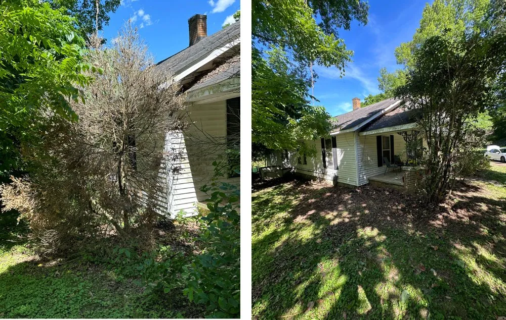 Trusted yard cleanup service for year-round maintenance across Jackson, TN - H & P Home Restoration