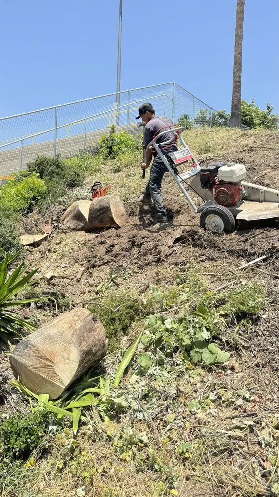 Trusted landscape installation near you in San Bernardino, CA by H & R Gardening
