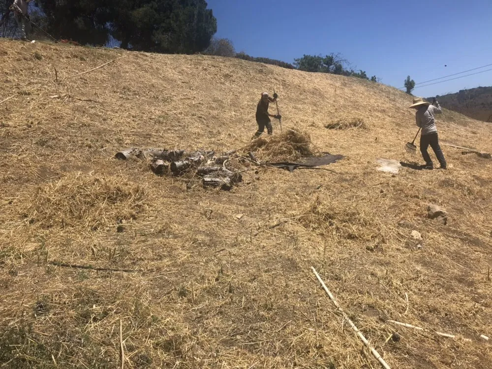 Top-rated outdoor landscaping in San Bernardino, CA - H & R Gardening