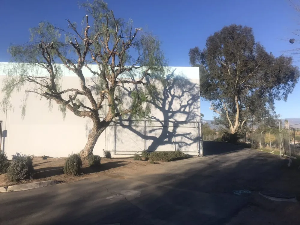 Top-rated lawn care service near you across San Bernardino, CA - H & R Gardening