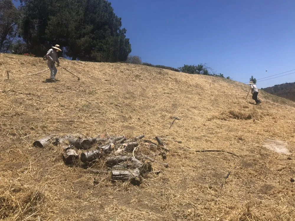 Custom landscape design for year-round maintenance in San Bernardino, CA by H & R Gardening