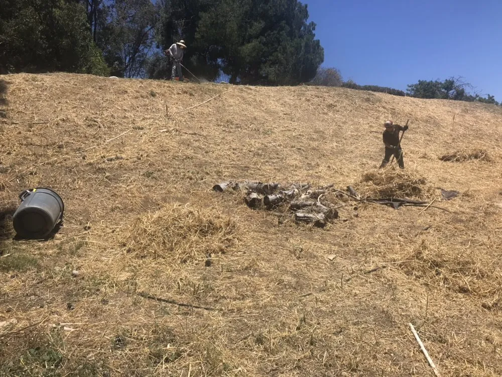 Custom yard maintenance experts serving San Bernardino, CA - H & R Gardening