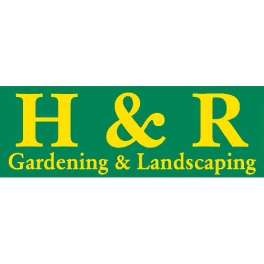 Reliable yard maintenance for homes in San Bernardino, CA by H & R Gardening