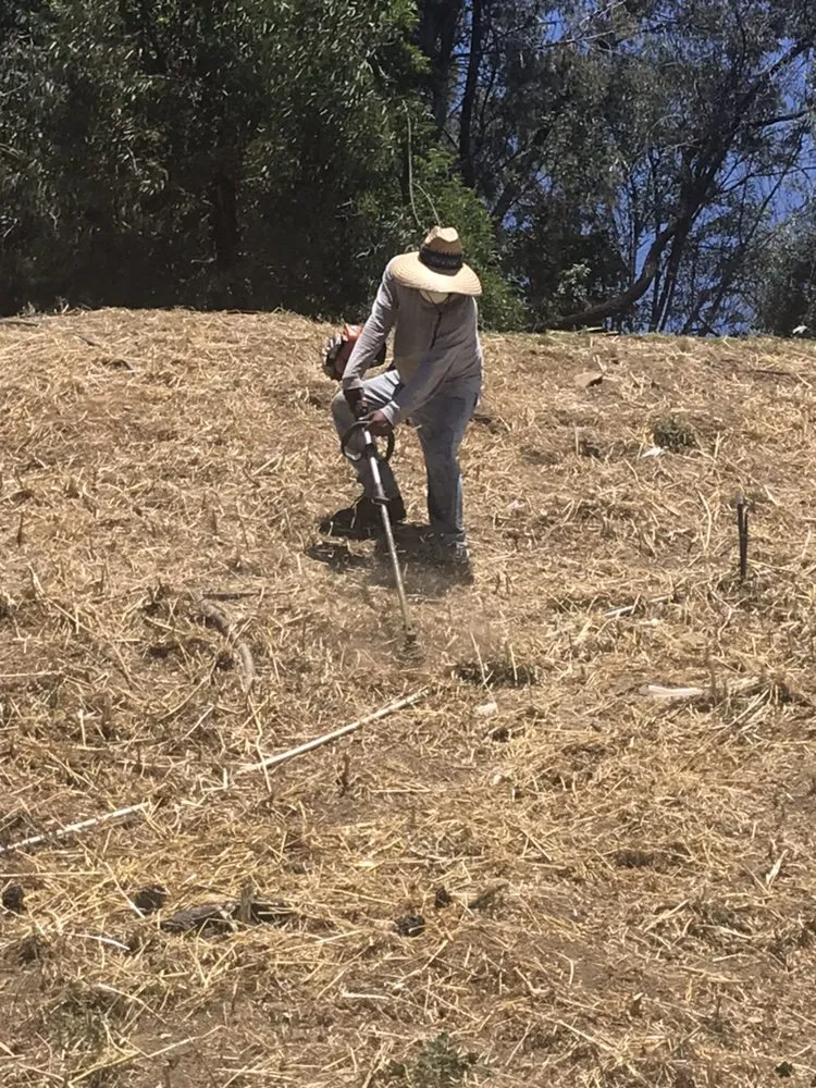 Local lawn care service in San Bernardino, CA - H & R Gardening