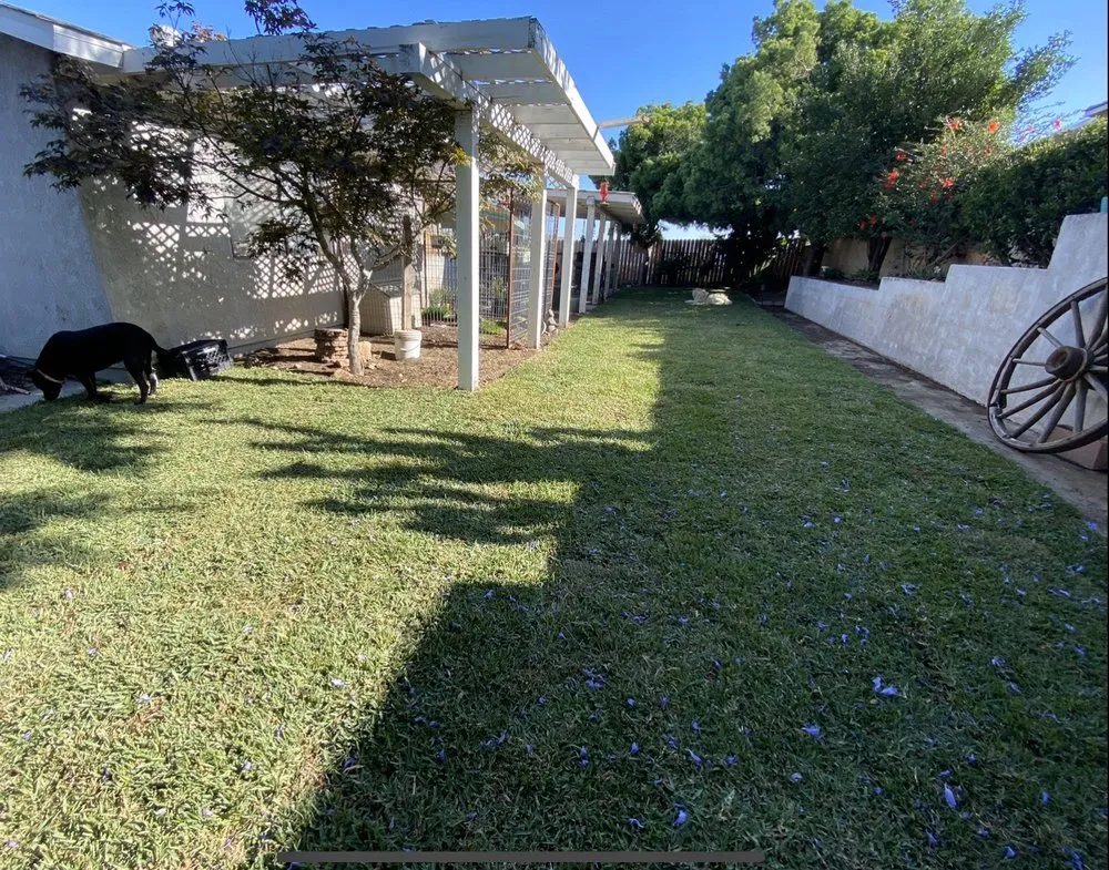 Professional outdoor landscaping for outdoor upgrades across San Bernardino, CA - H & R Gardening