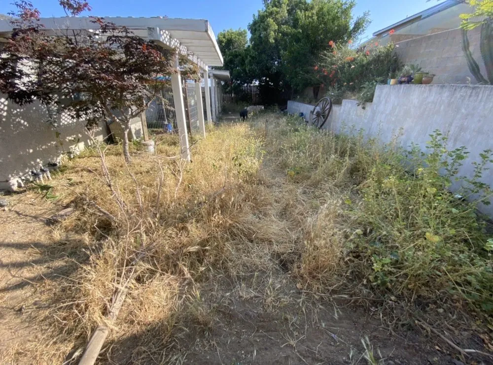 Local lawn care service in San Bernardino, CA by H & R Gardening