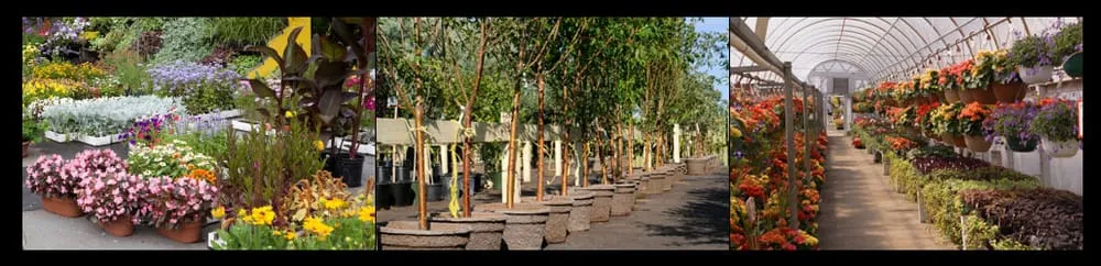 Professional garden landscaping in Plymouth Meeting, PA by H & R Landscaping