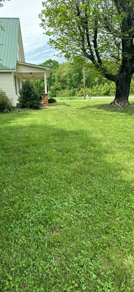 Trusted yard cleanup service in State Road, NC by H & R Lawn Care