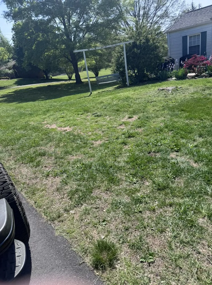 Reliable lawn care service experts serving State Road, NC - H & R Lawn Care