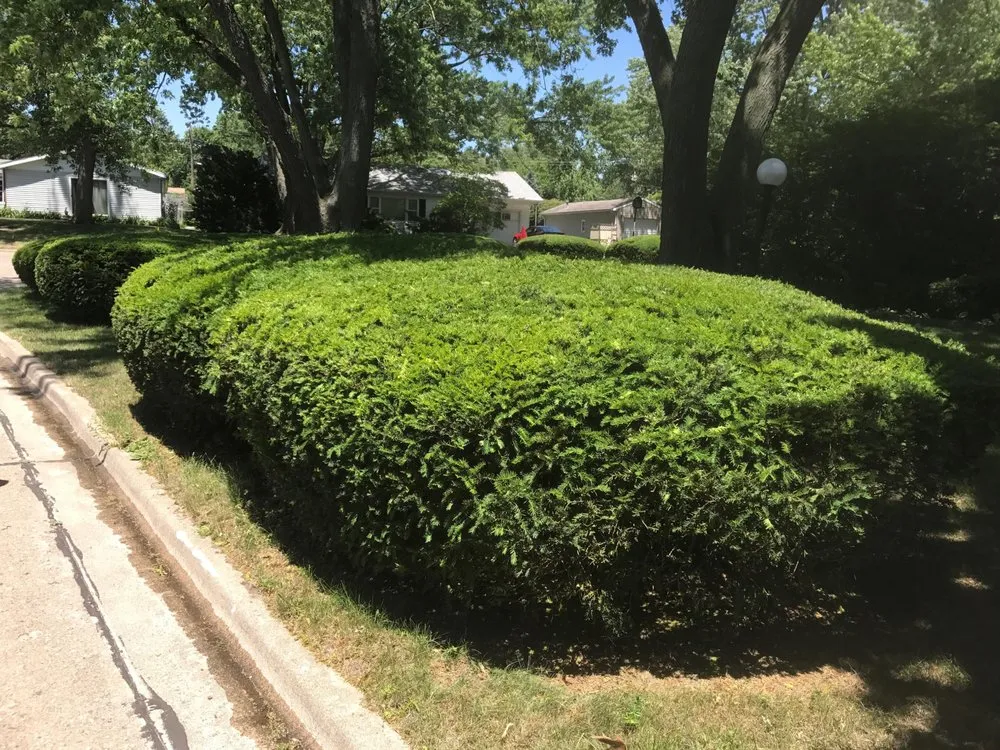 Trusted landscaping services experts serving Bismarck, IL - H & S Lawn Service
