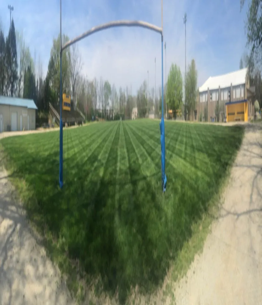 Professional landscape installation in Bismarck, IL - H & S Lawn Service