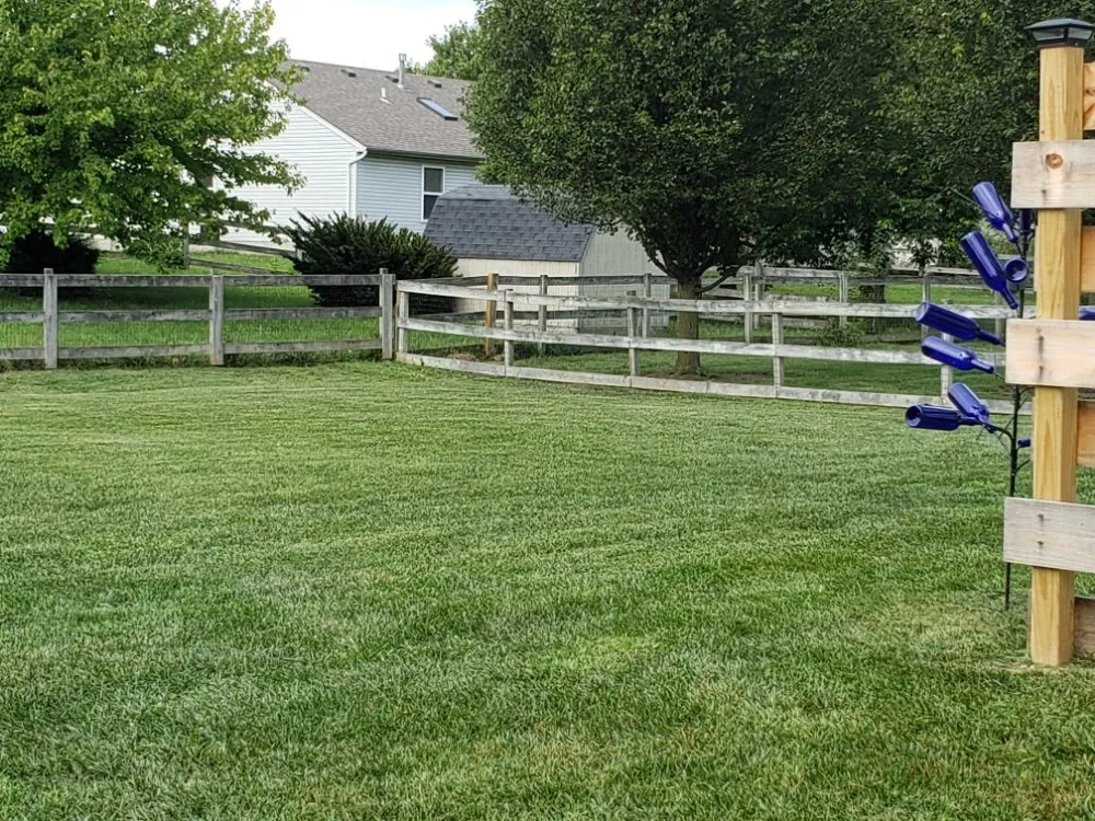 Expert yard maintenance near you in Trenton, OH by H & S Services