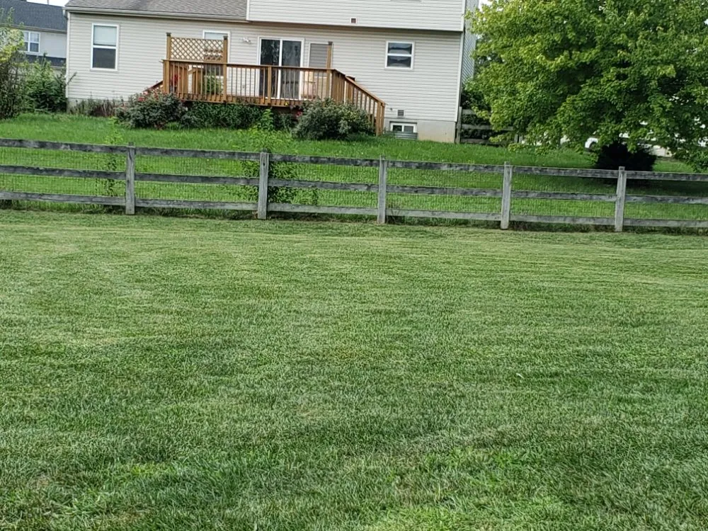 Professional landscape design in Trenton, OH - H & S Services