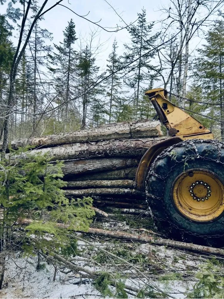 Custom yard cleanup service in Bangor, ME - H & S Sitework Construction