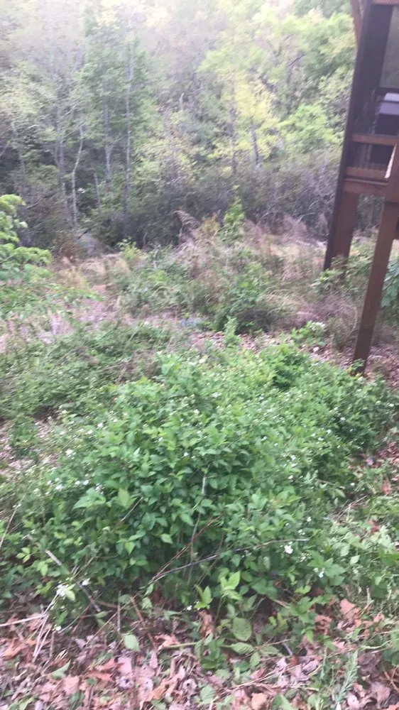 Local lawn care service for outdoor upgrades in Commerce, GA by H And J Tree Cutting And Yard Work Service