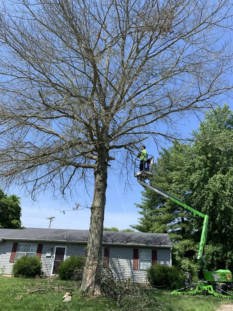 Custom lawn care service with custom design in Frankfort, KY by H and L Lawn and Tree Service