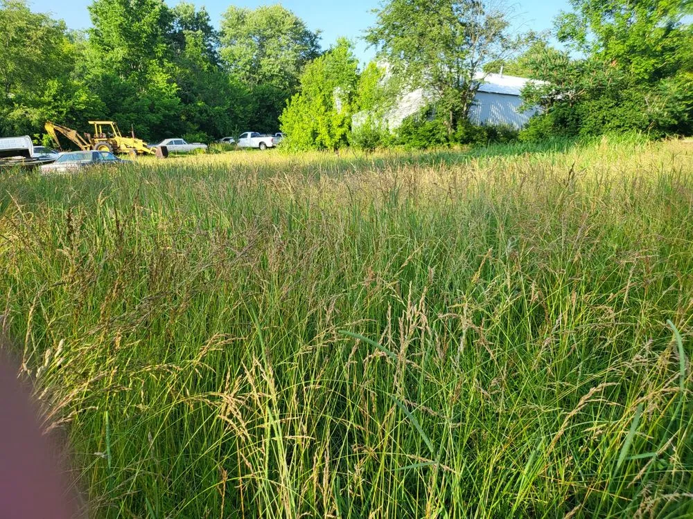 Professional landscaping services for outdoor upgrades in Frankfort, KY by H and L Lawn and Tree Service