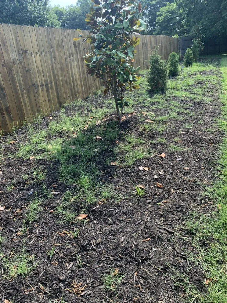 Trusted landscape installation in La Vergne, TN by H and P Contractors