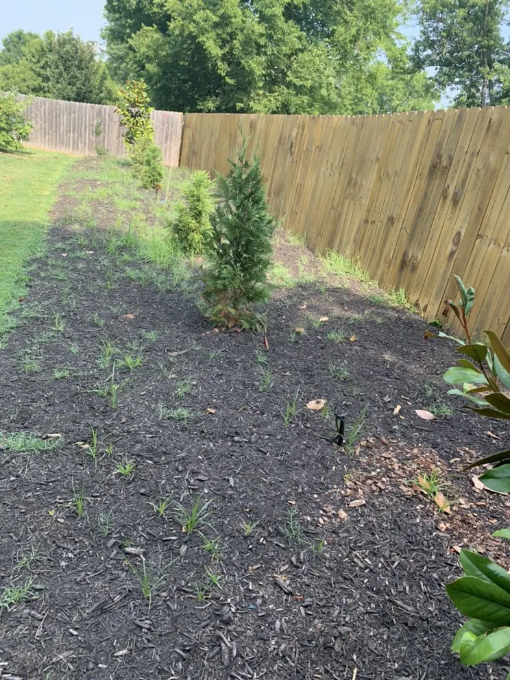 Affordable landscaping services in La Vergne, TN by H and P Contractors