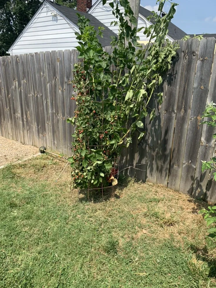 Local landscape installation in La Vergne, TN - H and P Contractors