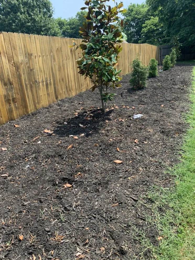 Local yard cleanup service in La Vergne, TN by H and P Contractors