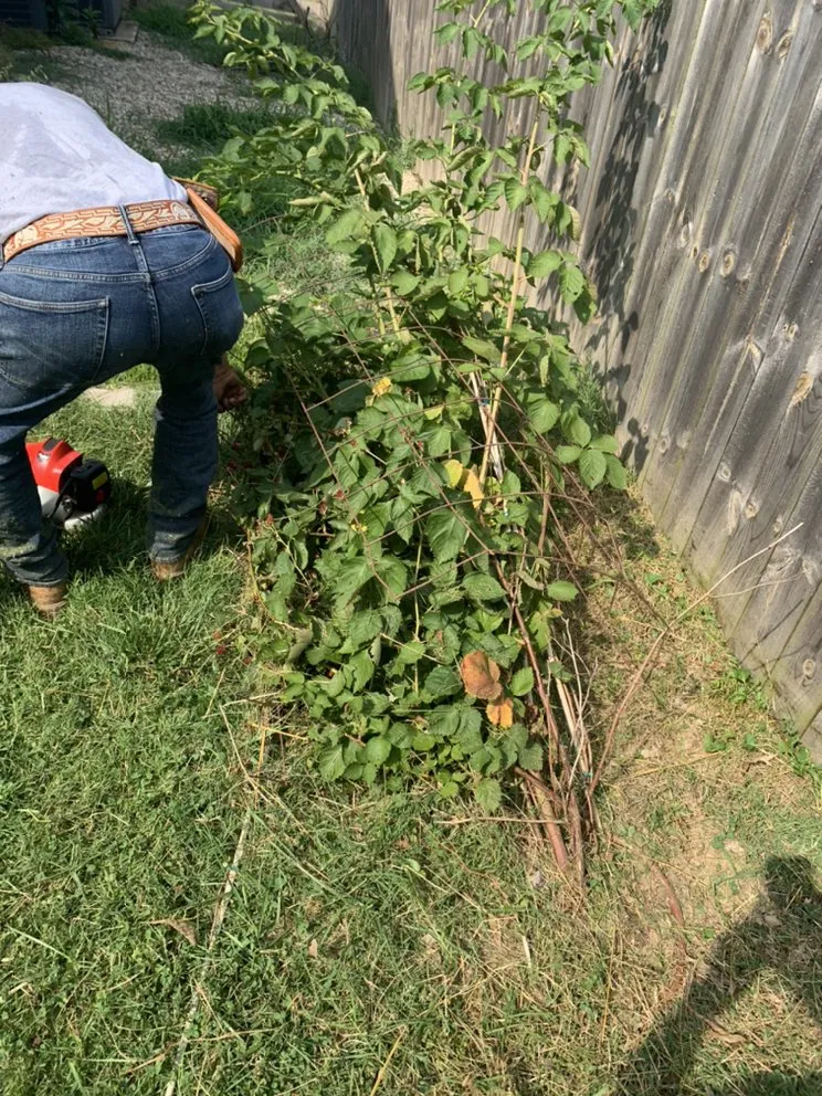 Trusted yard maintenance experts serving La Vergne, TN - H and P Contractors