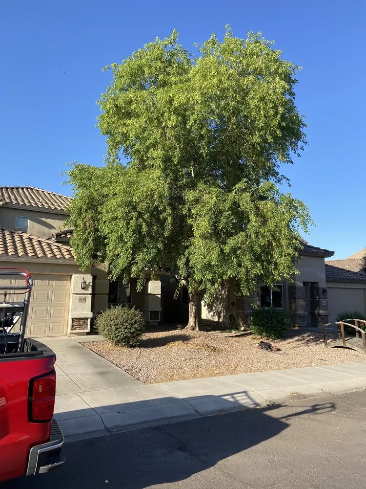 Reliable lawn mowing service in Phoenix, AZ - H And R Tree Service