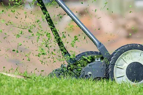 Professional lawn care service in Strasburg, VA - H Brothers Lawn Service