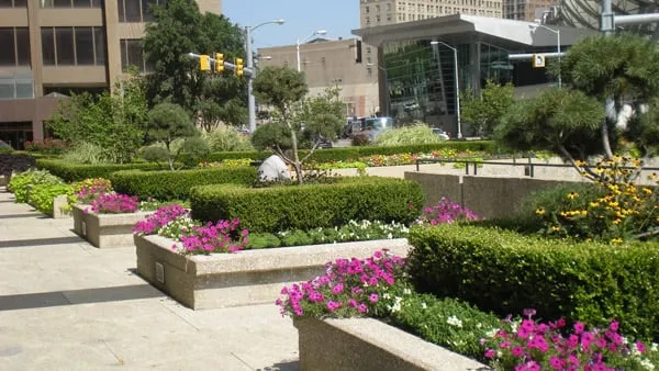 Local landscape design in Detroit, MI by H-D Landscaping