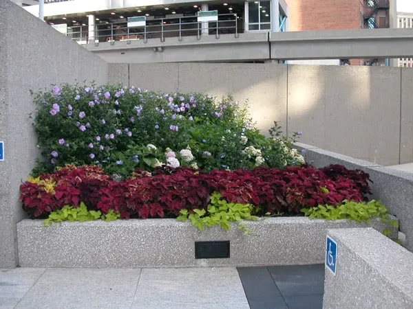 Top-rated landscaping services experts serving Detroit, MI - H-D Landscaping