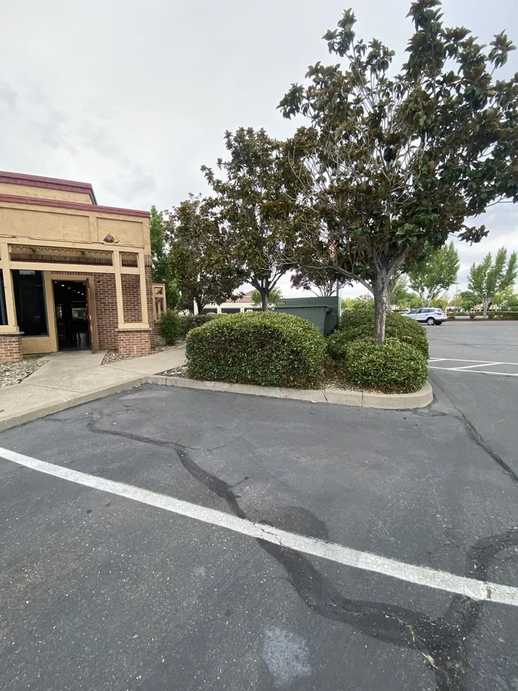 Local yard cleanup service experts serving Sacramento, CA - H E G Lawn Services