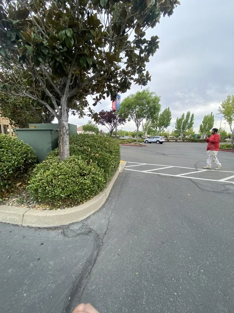 Top-rated yard cleanup service for beautiful yards in Sacramento, CA by H E G Lawn Services