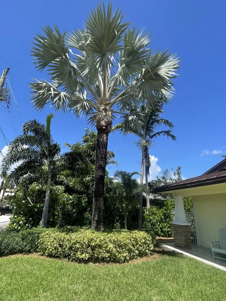Local landscape installation in Lake Worth Beach, FL - H Gabriel Lawn services & Tree Trimming