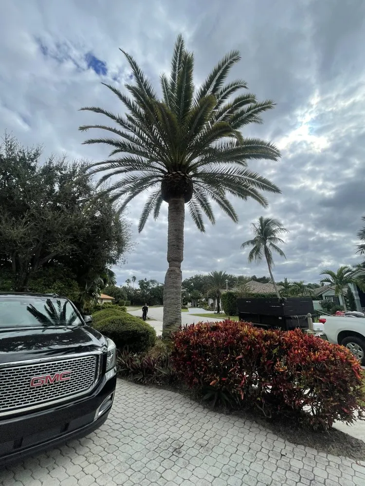 Custom outdoor landscaping experts serving Lake Worth Beach, FL - H Gabriel Lawn services & Tree Trimming