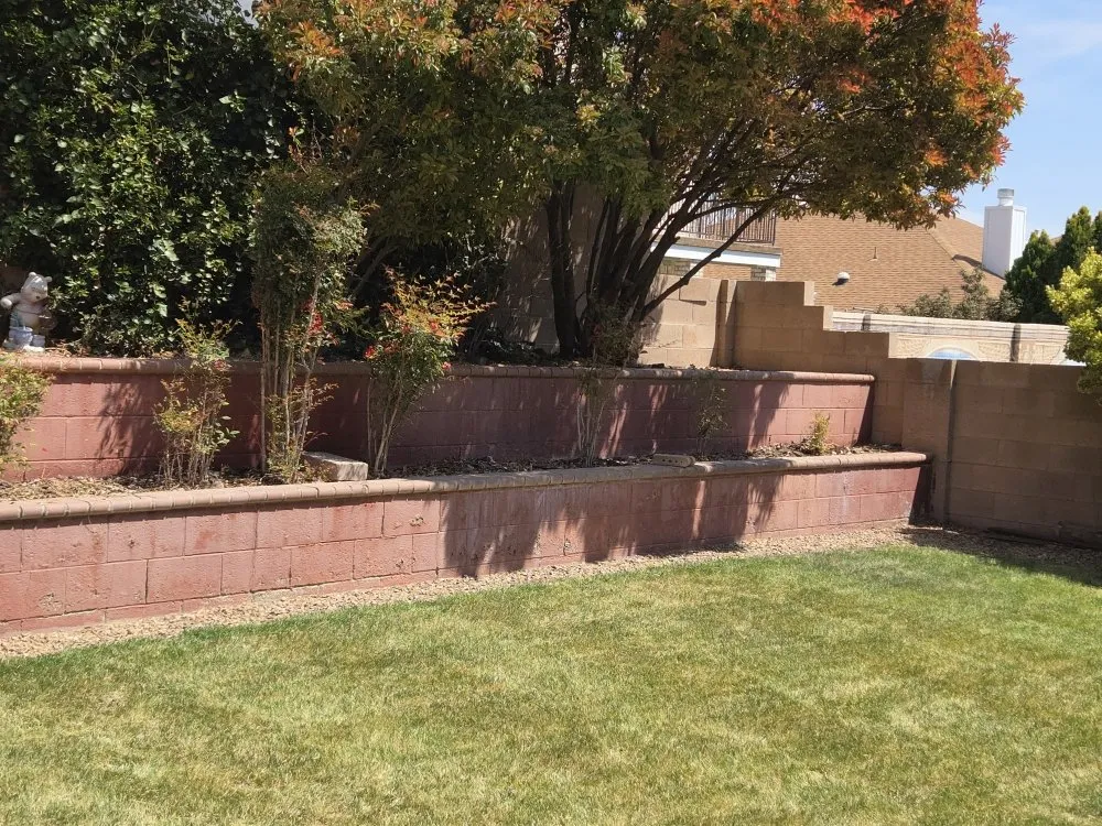 Top-rated lawn mowing service experts serving Rio Rancho, NM - H L Services