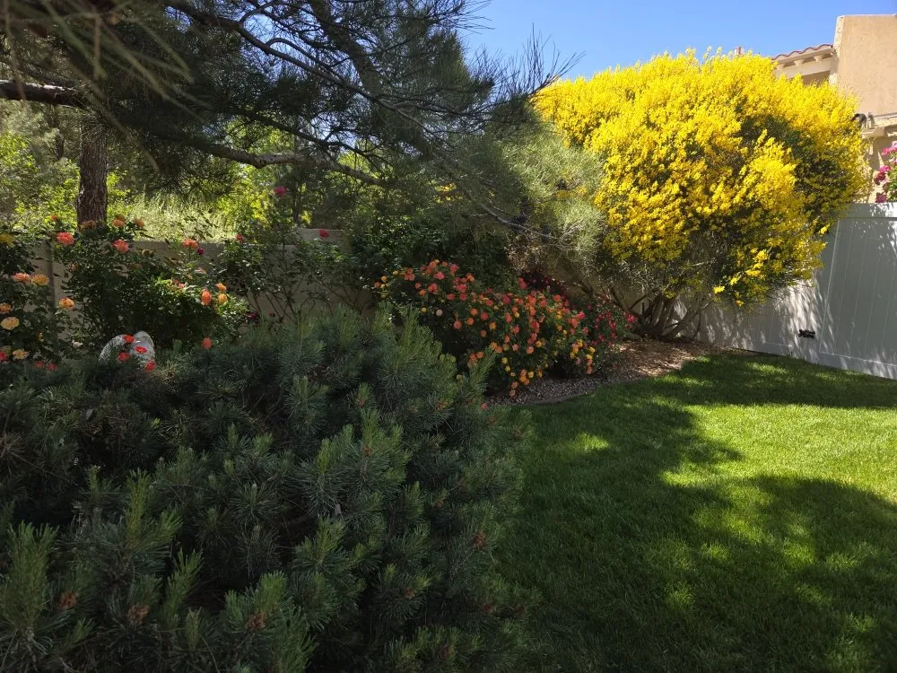Reliable landscape design experts serving Rio Rancho, NM - H L Services